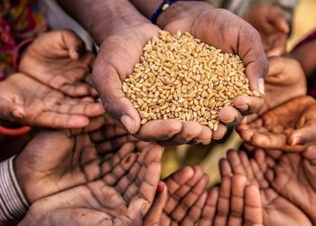 Căng thẳng tại Ukraine, nguy cơ thiếu lương thực ở Châu Á tăng cao