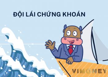ViMoney: Đội lái chứng khoán là gì? Điểm danh các đội lái "nổi tiếng" trên thị trường chứng khoán Việt Nam