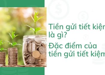 Tiền gửi tiết kiệm là gì? Các thông tin về sổ tiết kiệm 2022