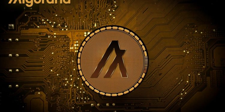 Algorand là gì? Toàn tập về tiền điện tử ALGO