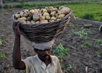 Từ nhiên liệu đến phân bón, nông dân trên khắp thế giới khốn đốn với chi phí tăng cao