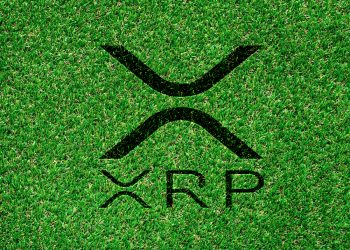 Ripple đang tìm kiếm giám đốc thị trường carbon để mở rộng kinh doanh