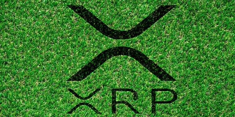 Ripple đang tìm kiếm giám đốc thị trường carbon để mở rộng kinh doanh