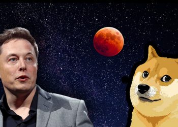 Dogecoin là gì (DOGE)? Meme coin tốt nhất được Elon Musk "bảo kê"
