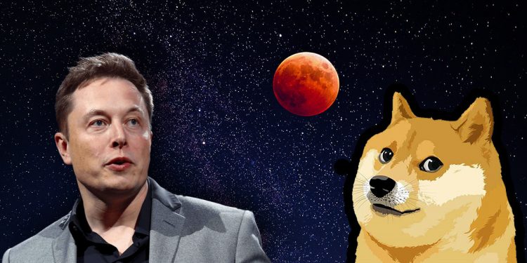 ViMoney: Điểm tin đầu giờ 15/3: Đọc gì trước giờ giao dịch - Dogecoin là gì (DOGE)? Meme coin tốt nhất được Elon Musk "bảo kê"