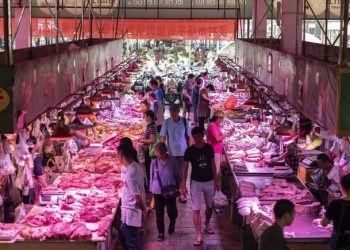 Trung Quốc bổ sung dự trữ thịt lợn khi giá lao dốc