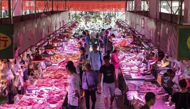 Trung Quốc bổ sung dự trữ thịt lợn khi giá lao dốc