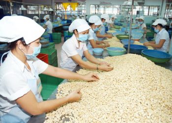 Thủ tướng chỉ đạo nóng vụ nghi lừa 100 container hạt điều