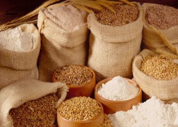 Dự báo giá thức ăn chăn nuôi 2022 sau 10 lần leo thang