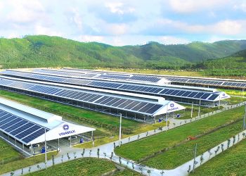 vimoney: Vinamilk và tham vọng thu 1000 tỷ từ thị trường thịt bò