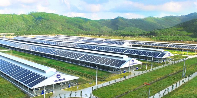 vimoney: Vinamilk và tham vọng thu 1000 tỷ từ thị trường thịt bò