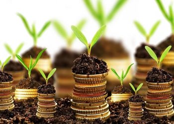 vimoney: Đầu tư công là gì? Cách phân loại vốn đầu tư công