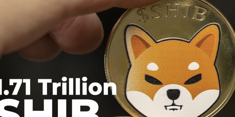 1,71 nghìn tỷ SHIB được Cá voi thu được trong tuần qua: WhaleStats