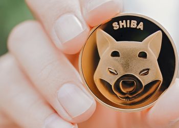 ViMoney: 175 tỷ SHIB được một "Cá voi Tolkien" khác mua dip