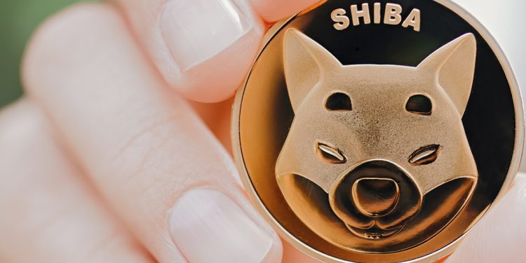 ViMoney: 175 tỷ SHIB được một "Cá voi Tolkien" khác mua dip