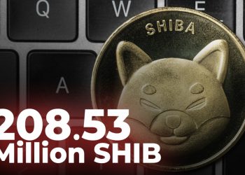 ViMoney: 208,53 triệu SHIB được đốt trong vòng 24 giờ