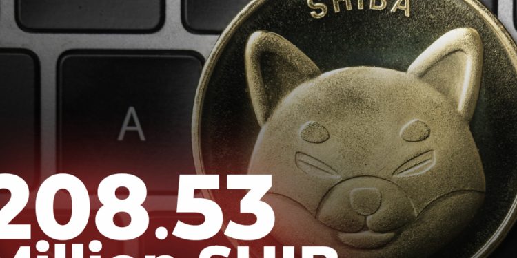 ViMoney: 208,53 triệu SHIB được đốt trong vòng 24 giờ