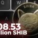 ViMoney: 208,53 triệu SHIB được đốt trong vòng 24 giờ