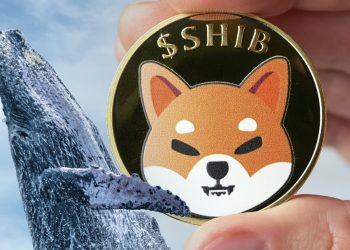 243,6 tỷ Shiba Inu được Cá voi thu được khi Token phục hồi từ mùa thu gần đây