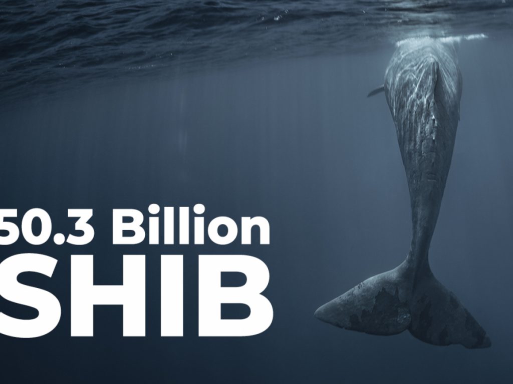 50,3 tỷ SHIB được Cá voi này mua lại khi SHIB trở thành Hợp đồng thông minh được sử dụng nhiều nhất
