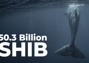 50,3 tỷ SHIB được Cá voi này mua lại khi SHIB trở thành Hợp đồng thông minh được sử dụng nhiều nhất