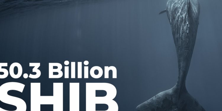 50,3 tỷ SHIB được Cá voi này mua lại khi SHIB trở thành Hợp đồng thông minh được sử dụng nhiều nhất