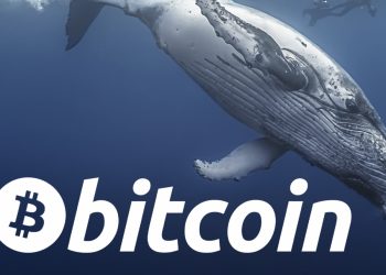 ViMoney: 6.800 Bitcoin được chuyển từ Coinbase khi giá giảm xuống dưới 40.000 đô la h1