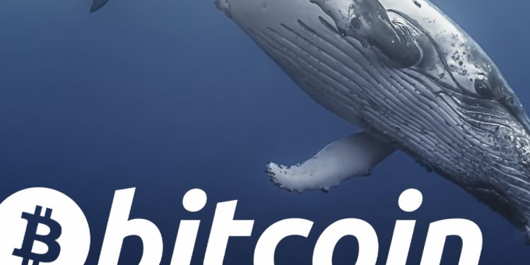 ViMoney: 6.800 Bitcoin được chuyển từ Coinbase khi giá giảm xuống dưới 40.000 đô la h1