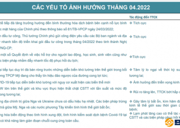 ViMoney: BSC dự phóng VN-Index có thể hướng tới 1.600 điểm trong kịch bản tích cực, đầu tư cổ phiếu nào cho tháng 4? - Ảnh 1.
