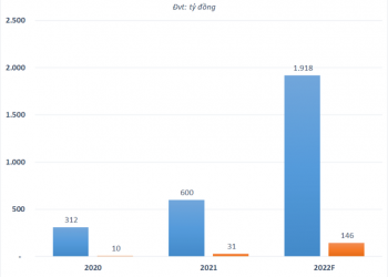 BV Land (BVL) dự kiến tăng vốn lên nghìn tỷ và chuyển niêm yết HoSE - Ảnh 1.