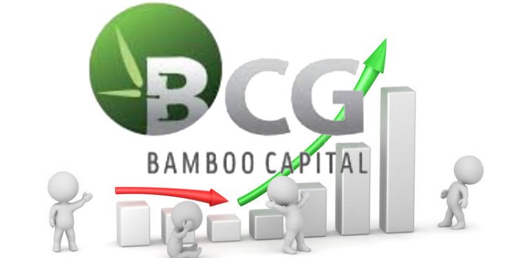 ViMoney: Điểm tin đầu giờ 28/4: Đọc gì trước giờ giao dịch - Bamboo Capital: BCG lãi ròng quý I tăng gấp 2 lần cùng k