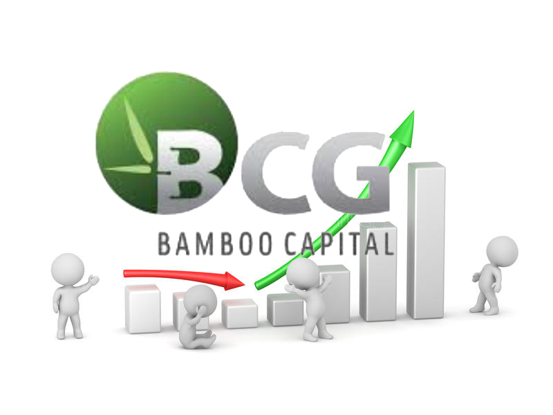 Bamboo Capital: BCG lãi ròng quý I tăng gấp 2 lần cùng k