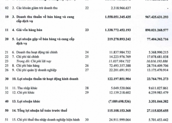 ViMoney:Thông Quảng Ninh (TQN) bất ngờ báo lãi năm 2021 gấp 4 lần cùng kỳ, EPS đạt trên 25.000 đồng
