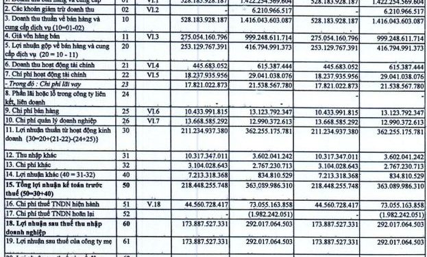 Becamex IJC (IJC) báo lãi quý 1/2022 giảm 40%, dự kiến tăng vốn gấp 1,6 lần lên hơn 3.600 tỷ đồng - Ảnh 1.