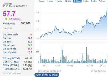 Biwase (BWE) hoàn tất mua gom 2 công ty nước Cần Thơ, cổ phiếu bất ngờ tăng kịch trần - Ảnh 1.