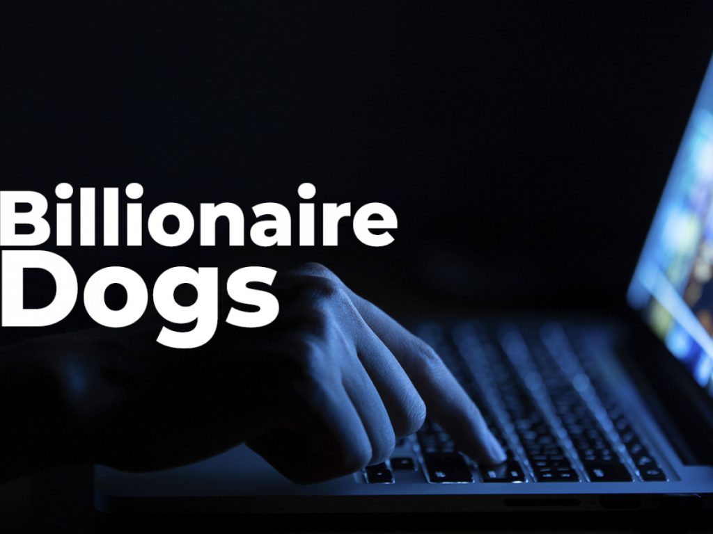 ViMoney: Cảnh báo Scam: Bộ sưu tập NFT Billionaire Dogs Club được quảng bá bởi KOL Pháp Laurent Correia bị tố lừa đảo h1