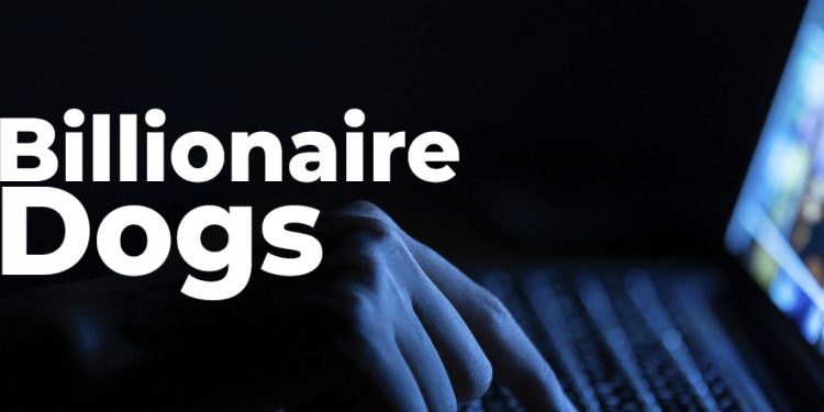 ViMoney: Cảnh báo Scam: Bộ sưu tập NFT Billionaire Dogs Club được quảng bá bởi KOL Pháp Laurent Correia bị tố lừa đảo h1