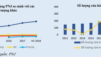 Bước chân vào thị trường trang sức, liệu Thế giới Di động có thể thành công được như PNJ đã từng - Ảnh 1.