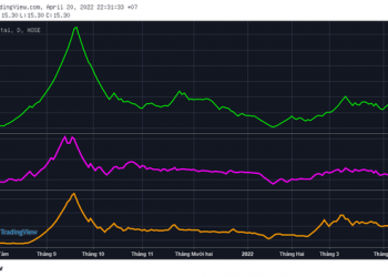 Cái kết nào cho các cổ phiếu từng được lãnh đạo doanh nghiệp công khai “hô hào”? - Ảnh 1.