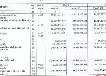 Cảng Cát Lái (CLL) lãi ròng quý 1 tăng 25% - Ảnh 1.