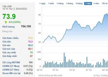 Cơ điện lạnh (REE) chốt quyền phát hành hơn 46 triệu cổ phiếu trả cổ tức năm 2021 - Ảnh 1.