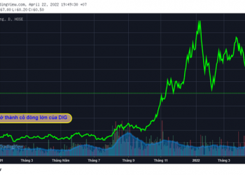 Cổ phiếu DIG trượt dốc, Him Lam muốn dừng cuộc chơi sau khi vớ bẫm hàng nghìn tỷ? - Ảnh 1.