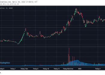 Cổ phiếu PTL nằm sàn sau thông tin thuộc diện hủy niêm yết bắt buộc - Ảnh 1.