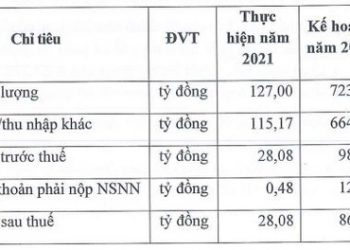Cổ phiếu giảm sàn liên tiếp sau khi dính án hủy niêm yết, Victory Capital (PTL) nói gì? - Ảnh 1.