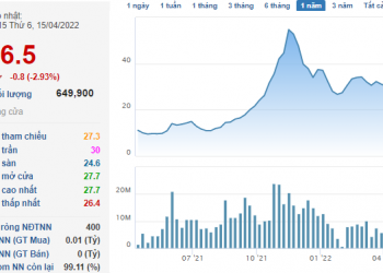 Cổ phiếu họ Apec bay hơi gần nửa giá trị từ khi lãnh đạo quàng khăn tím hô hào cổ đông quyết tâm gồng lãi - Ảnh 1.