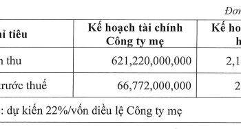 Cotana Group (CSC) lên kế hoạch lợi nhuận hợp nhất 2022 tăng đột biến, phát hành cổ phiếu tăng vốn điều lệ thêm 100 tỷ đồng - Ảnh 1.