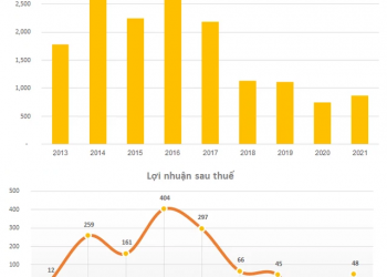 Đại hội đồng cổ đông Tasco (HUT): Ông Vũ Đình Độ làm chủ tịch HĐQT chương trình tái cơ cấu lớn nhất trong lịch sử, đặt nền móng xây dựng Hệ sinh thái sự sống Foundation - Ảnh 1.