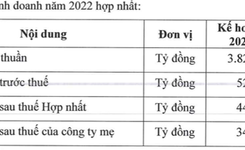 Đạt Phương (DPG) đặt mục tiêu lãi sau thuế năm 2022 giảm nhẹ về 442 tỷ đồng, đề xuất chia cổ tức năm 2021 tỷ lệ 10% - Ảnh 1.