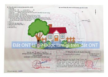 Đất ONT Là Gì? Được làm gì trên đất ONT