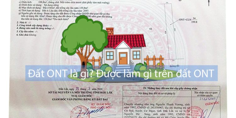 Đất ONT Là Gì? Được làm gì trên đất ONT